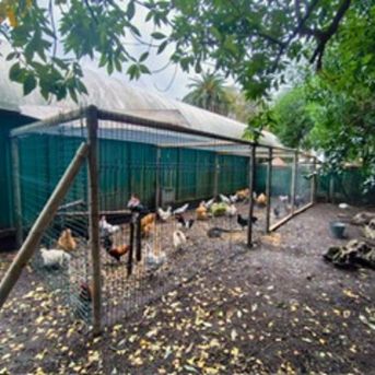 fotonoticia_20251124134614_1920 fotonoticia_20251124134614_1920