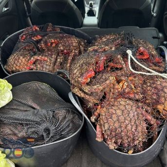 fotonoticia_20251125121207_1920