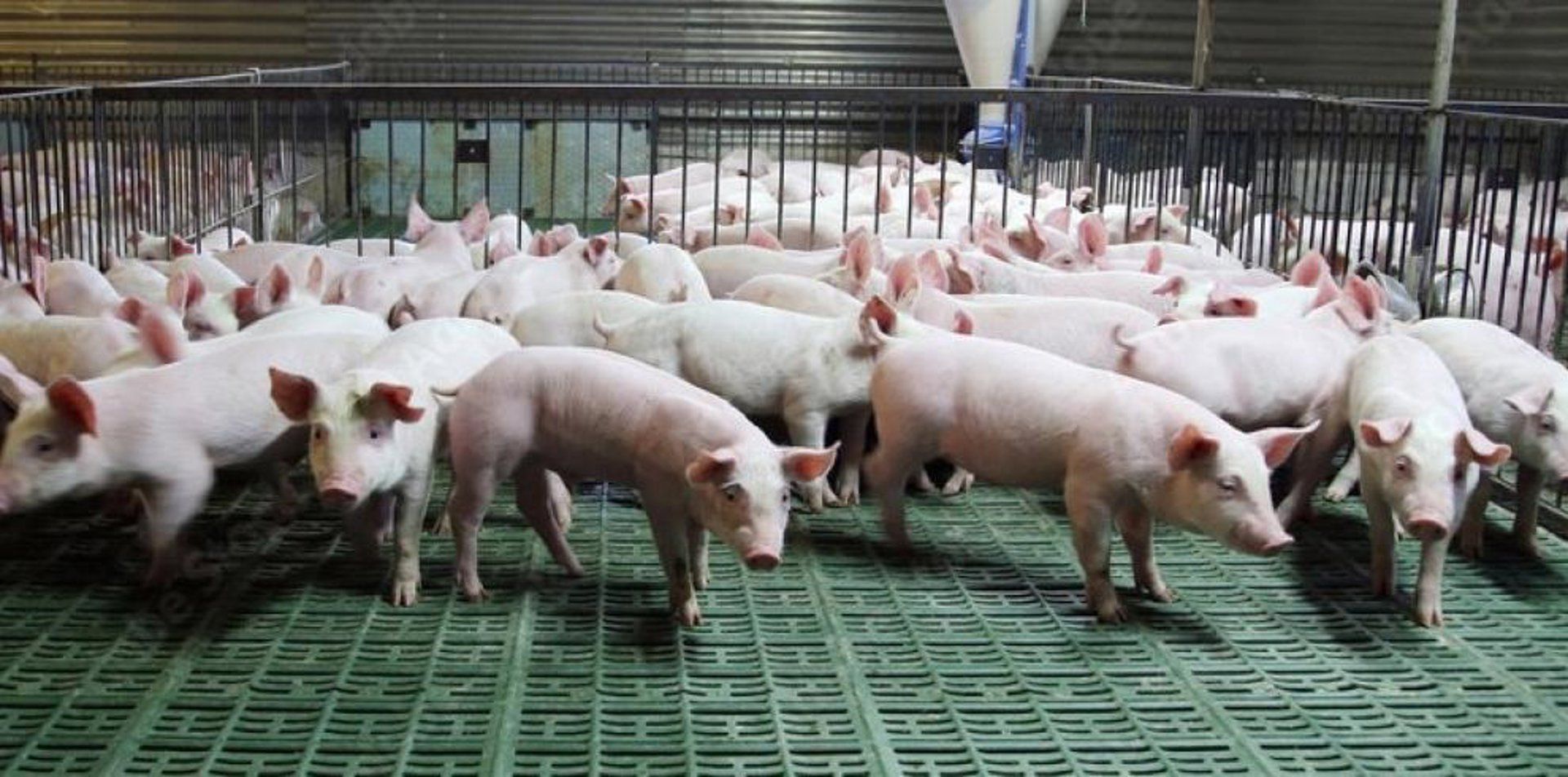 fotonoticia_20251125130616_1920-1 fotonoticia_20251125130616_1920-1