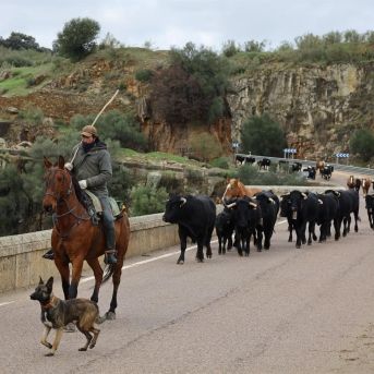 fotonoticia_20251125145656_1920