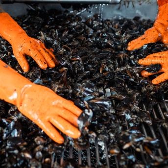 fotonoticia_20251125152434_1920 fotonoticia_20251125152434_1920