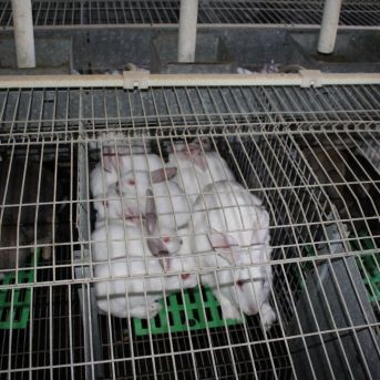 fotonoticia_20251125153007_1920