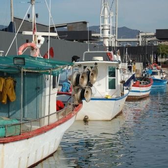 fotonoticia_20251125183355_1920