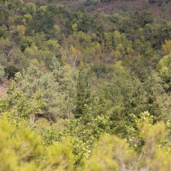 fotonoticia_20251125191647_1920 fotonoticia_20251125191647_1920