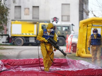Un informe apunta que el brote de PPA en Catalunya podría tener origen en un laboratorio