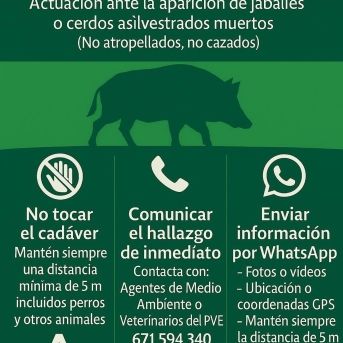 Andalucía activa la emergencia cinegética temporal para reforzar la lucha contra la peste porcina africana