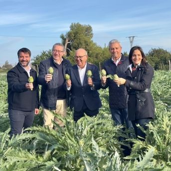 Comienza la campaña de la alcachofa, emblema de historia, tradición y calidad