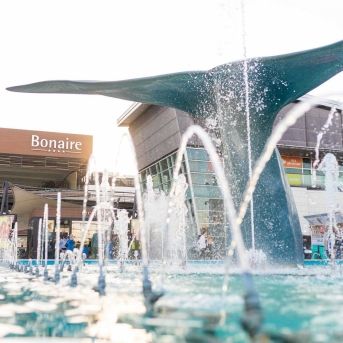 fotonoticia_20251126100920_1920