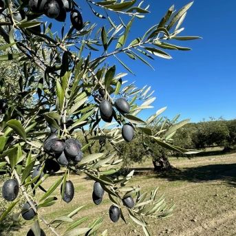 fotonoticia_20251126120910_1920