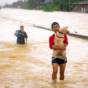 fotonoticia_20251126130317_1920 fotonoticia_20251126130317_1920