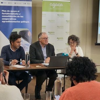 fotonoticia_20251126130720_1920