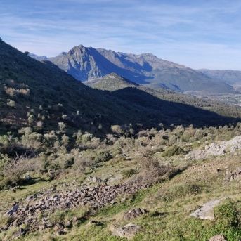 fotonoticia_20251126131131_1920