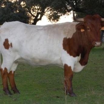 fotonoticia_20251126141403_1920