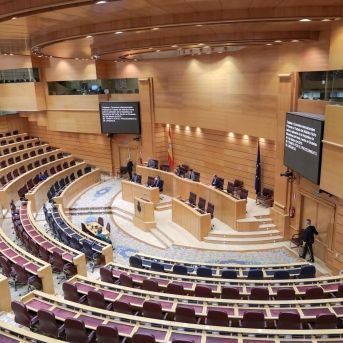 fotonoticia_20251126172806_1920 fotonoticia_20251126172806_1920