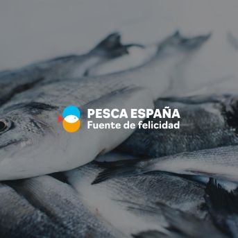 fotonoticia_20251126182318_1920-1 fotonoticia_20251126182318_1920-1