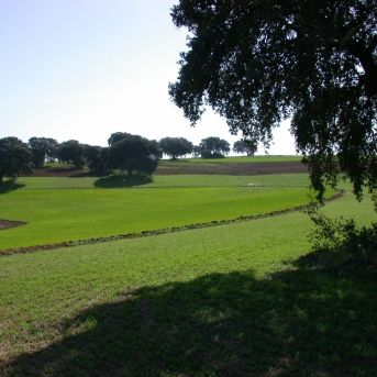 fotonoticia_20251126190451_1920