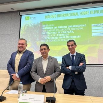 fotonoticia_20251126203817_1920