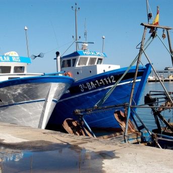 fotonoticia_20251127101515_1920