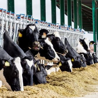 fotonoticia_20251127110434_1920