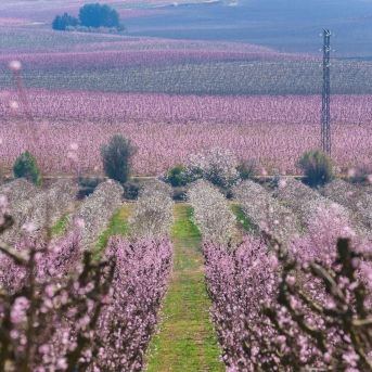 fotonoticia_20251127133513_1920 fotonoticia_20251127133513_1920