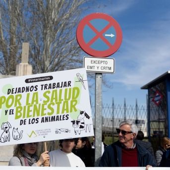 fotonoticia_20251127132919_1920 fotonoticia_20251127132919_1920