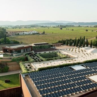 fotonoticia_20251127173931_1920