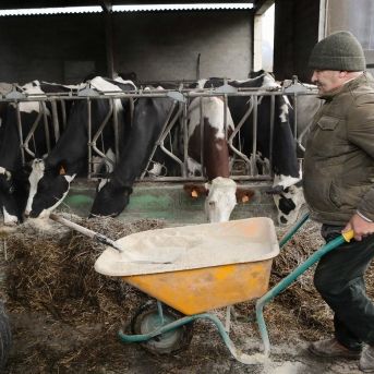 fotonoticia_20251128151151_1920