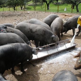 fotonoticia_20251128182954_1920