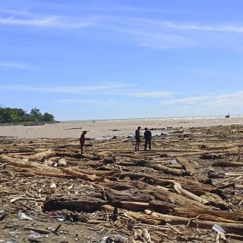 fotonoticia_20251130112613_1920