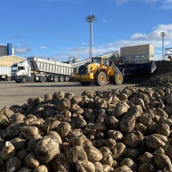 fotonoticia_20251130120950_1920