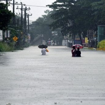 fotonoticia_20251130160040_1920 fotonoticia_20251130160040_1920