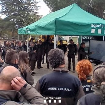 fotonoticia_20251130175357_1920