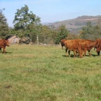 fotonoticia_20251201095336_1920 fotonoticia_20251201095336_1920