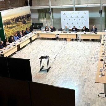 fotonoticia_20251201172400_1920