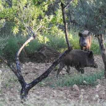 fotonoticia_20251201181656_1920