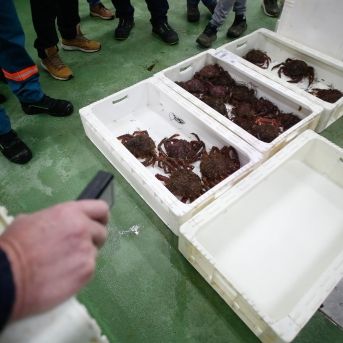 fotonoticia_20251201190540_1920