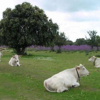 fotonoticia_20251202144652_1920-1 fotonoticia_20251202144652_1920-1