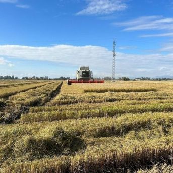 fotonoticia_20251202164217_1920