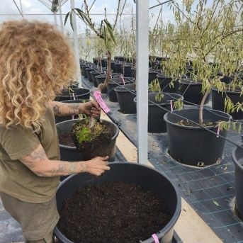 fotonoticia_20251203110029_1920 fotonoticia_20251203110029_1920