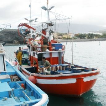 fotonoticia_20251203140307_1920