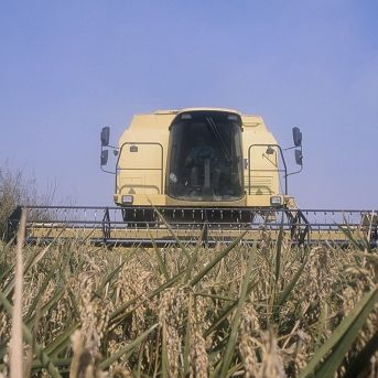 fotonoticia_20251203154553_1920