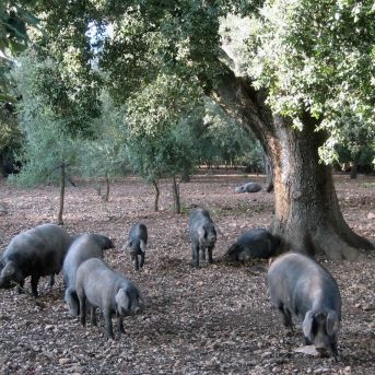 fotonoticia_20251203172058_1920 fotonoticia_20251203172058_1920