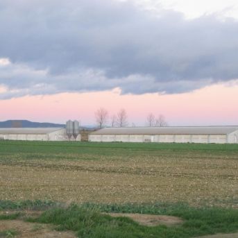 fotonoticia_20251204102553_1920