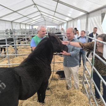 fotonoticia_20251204110033_1920