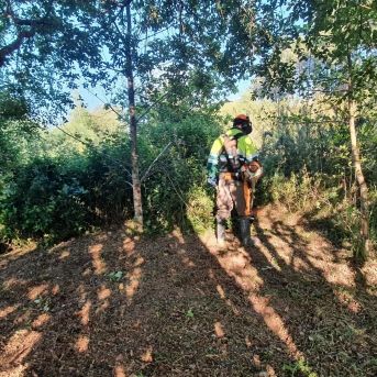 fotonoticia_20251204172133_1920