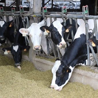 fotonoticia_20251205101505_1920 fotonoticia_20251205101505_1920