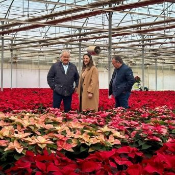 fotonoticia_20251205124841_1920