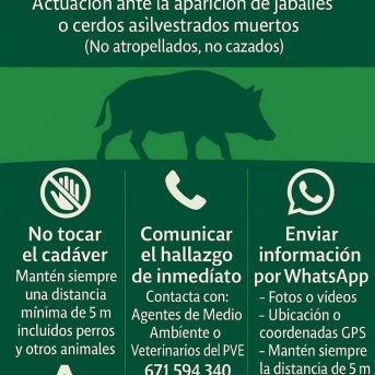 fotonoticia_20251205163736_1920