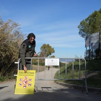 fotonoticia_20251205182802_1920