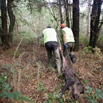 fotonoticia_20251205184750_1920 fotonoticia_20251205184750_1920